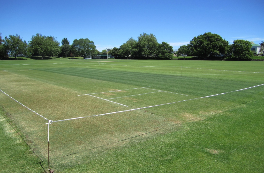 Devonport Cricket Block