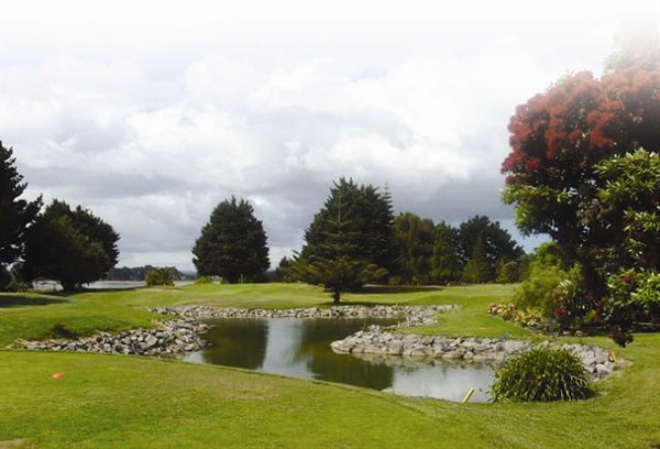 Pohutukawa1