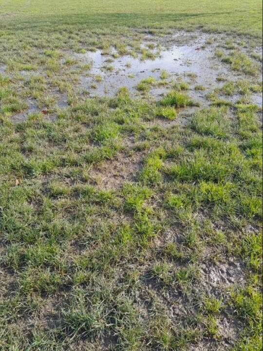 waterlogged field v2